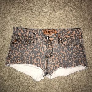 Tripp NYC shorts